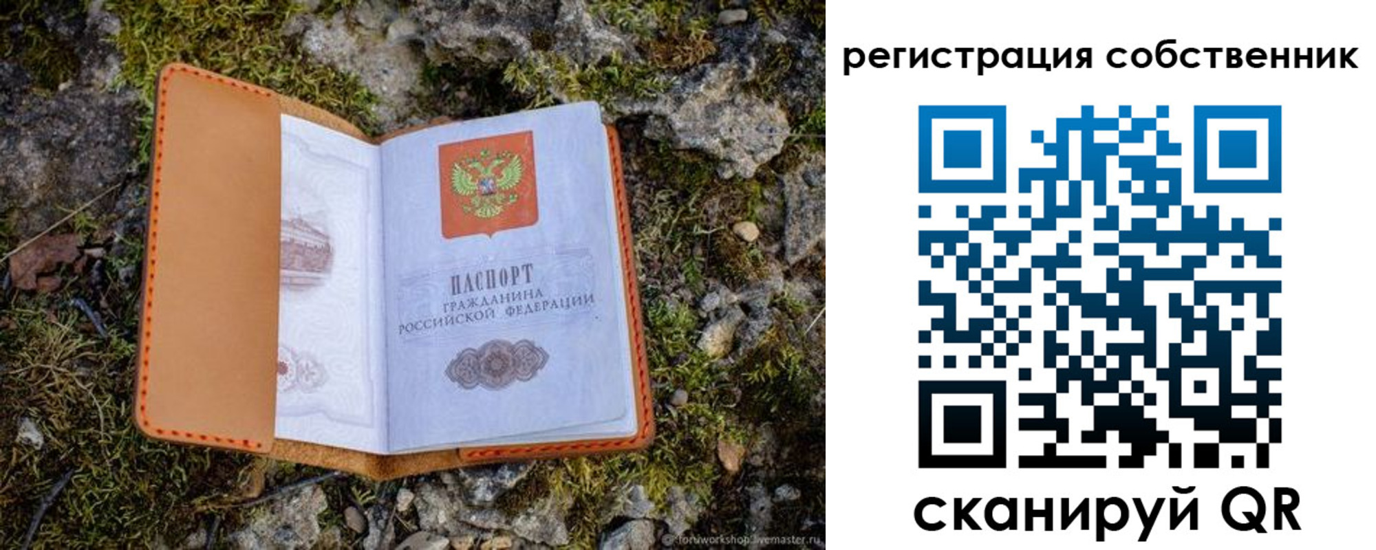прописка поиск в Белгороде